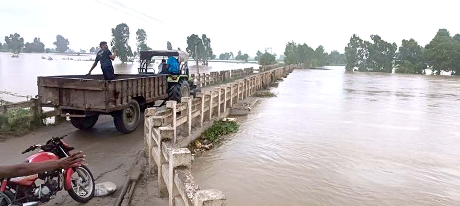 Advance dam of Ahli Kalan village breaks; Paddy crop destroyed in 35 thousand acres.